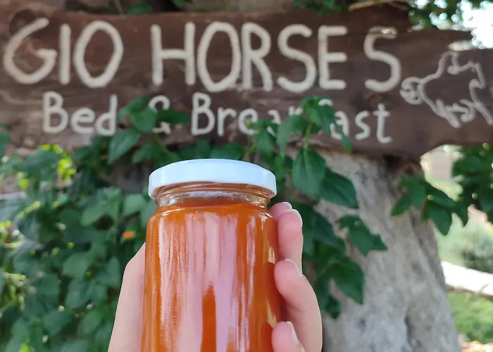 Gio Horses B&B