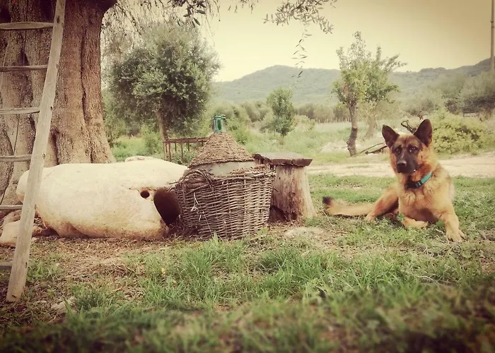 Gio Horses B&B