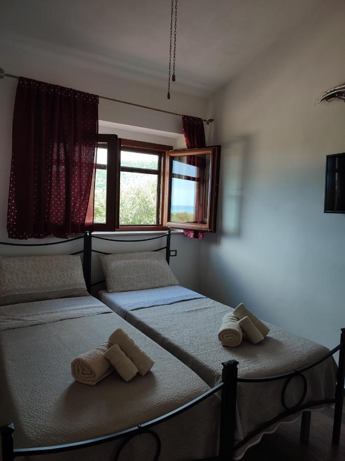 Gio Horses Bed & Breakfast