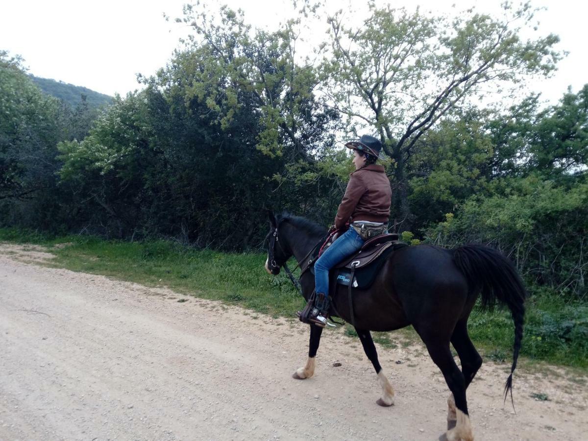 Gio Horses Bed & Breakfast