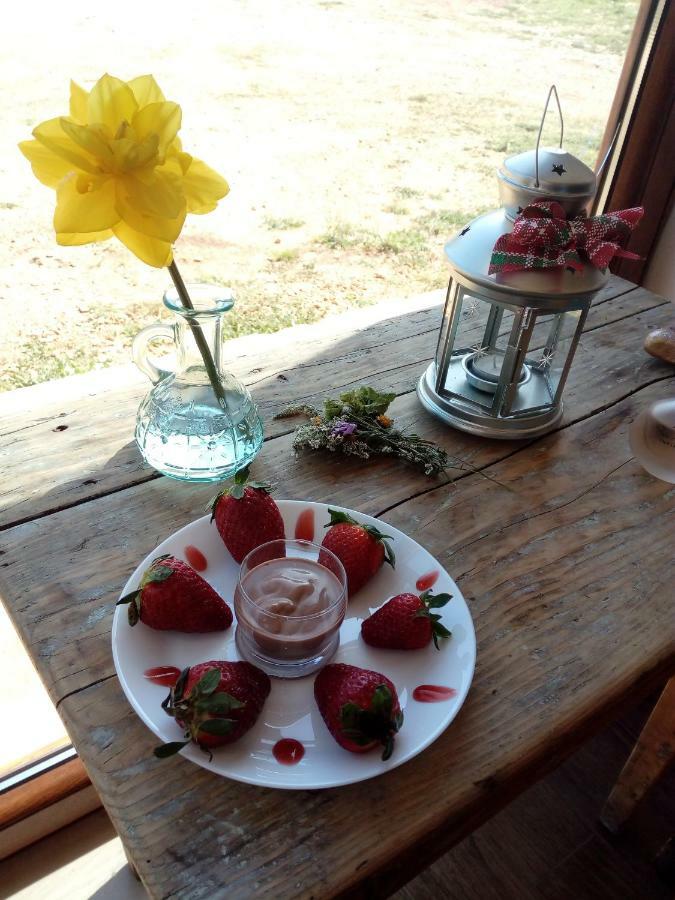 Gio Horses Bed & Breakfast 3*