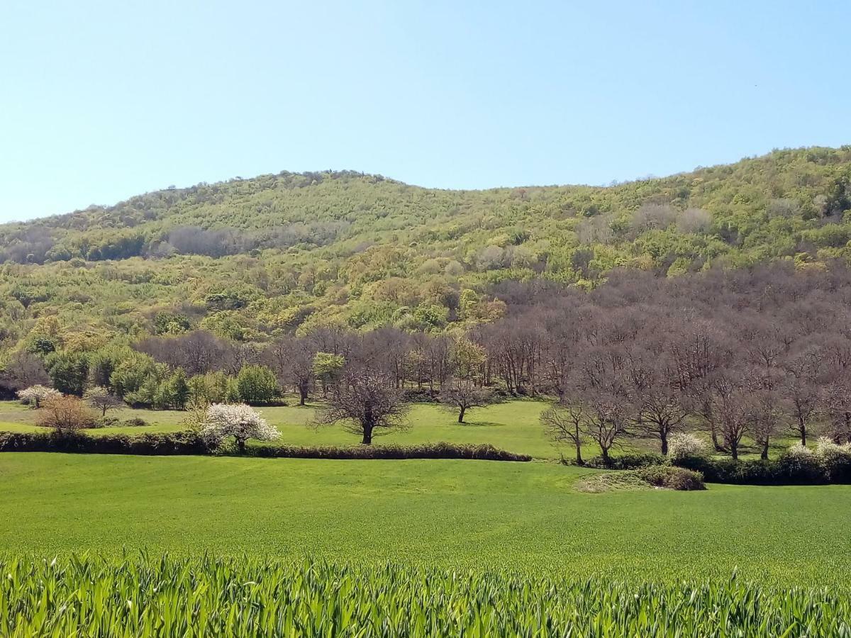 Gio Horses Bed & Breakfast 3*