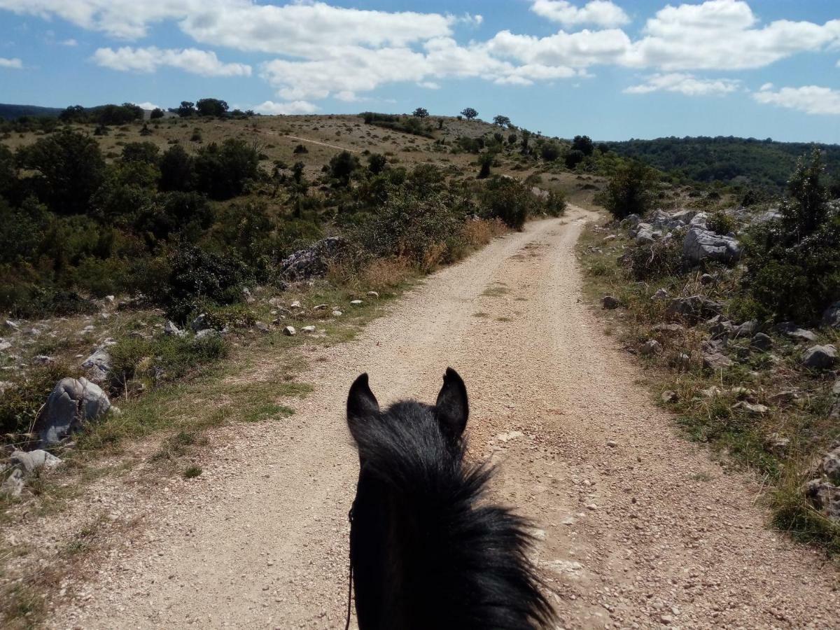 Bed & Breakfast Gio Horses